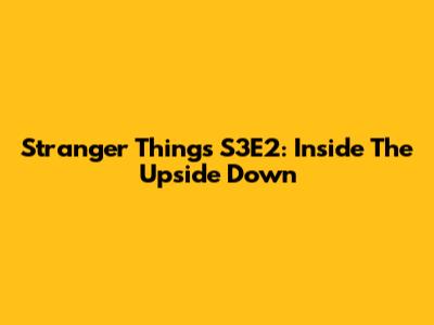 Stranger Things S3E2: Inside The Upside Down