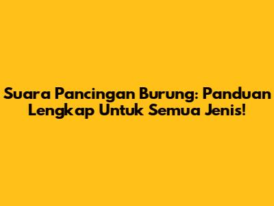 Suara Pancingan Burung: Panduan Lengkap Untuk Semua Jenis!