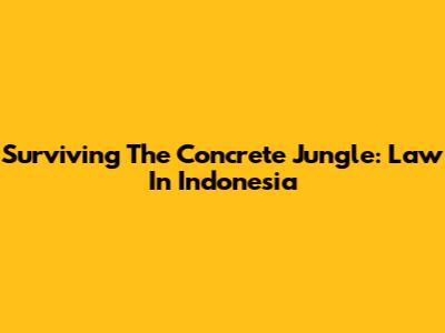 Surviving The Concrete Jungle: Law In Indonesia
