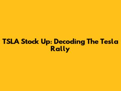 TSLA Stock Up: Decoding The Tesla Rally