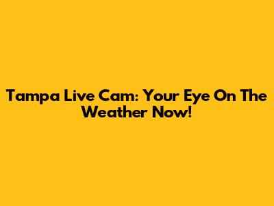 Tampa Live Cam: Your Eye On The Weather Now!