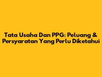 Tata Usaha Dan PPG: Peluang & Persyaratan Yang Perlu Diketahui