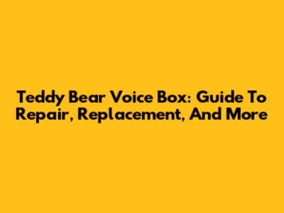 Teddy Bear Voice Box: Guide To Repair, Replacement, And More