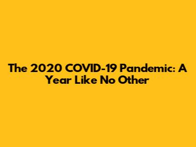 The 2020 COVID-19 Pandemic: A Year Like No Other