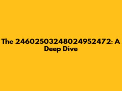 The 24602503248024952472: A Deep Dive