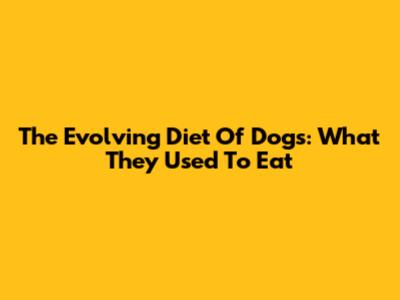 The Evolving Diet Of Dogs: What They Used To Eat