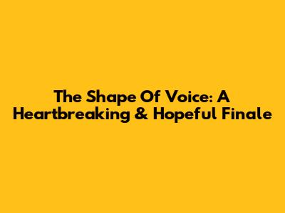 The Shape Of Voice: A Heartbreaking & Hopeful Finale