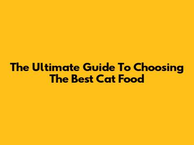 The Ultimate Guide To Choosing The Best Cat Food