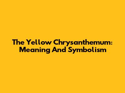 The Yellow Chrysanthemum: Meaning And Symbolism