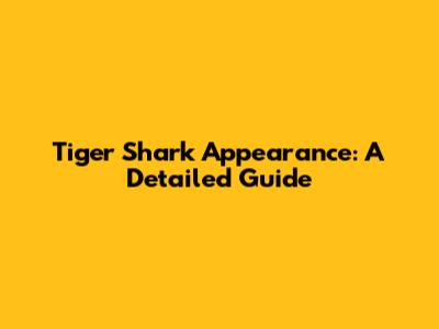 Tiger Shark Appearance: A Detailed Guide