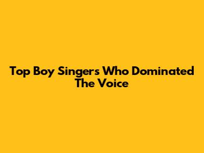 Top Boy Singers Who Dominated The Voice