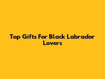 Top Gifts For Black Labrador Lovers