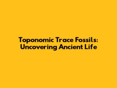 Toponomic Trace Fossils: Uncovering Ancient Life