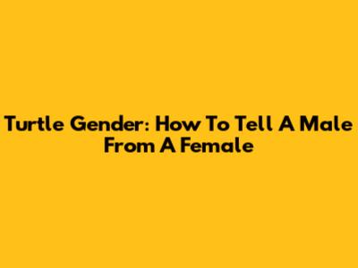 Turtle Gender: How To Tell A Male From A Female