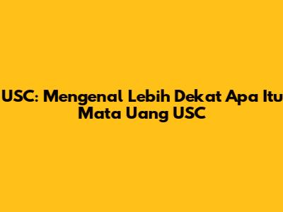 USC: Mengenal Lebih Dekat Apa Itu Mata Uang USC