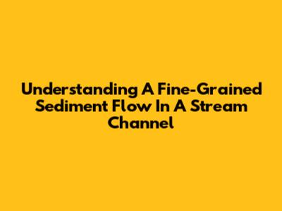 Understanding A Fine-Grained Sediment Flow In A Stream Channel
