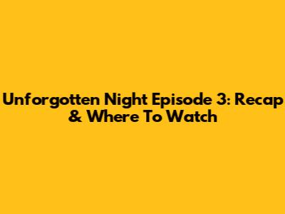 Unforgotten Night Episode 3: Recap & Where To Watch