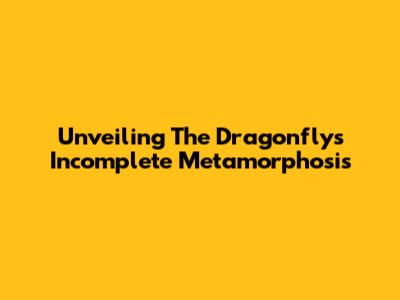 Unveiling The Dragonfly's Incomplete Metamorphosis