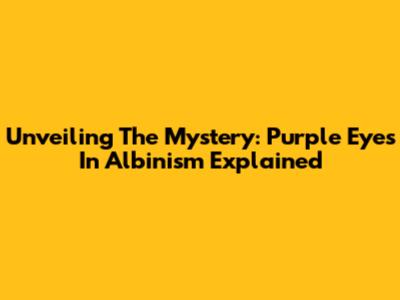 Unveiling The Mystery: Purple Eyes In Albinism Explained