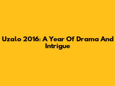 Uzalo 2016: A Year Of Drama And Intrigue