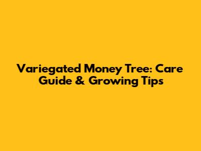 Variegated Money Tree: Care Guide & Growing Tips