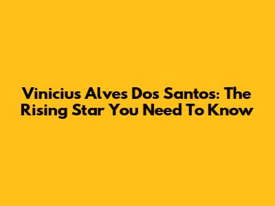 Vinicius Alves Dos Santos: The Rising Star You Need To Know