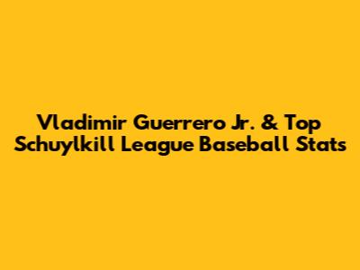 Vladimir Guerrero Jr. & Top Schuylkill League Baseball Stats