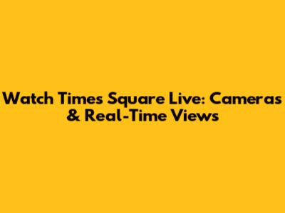 Watch Times Square Live: Cameras & Real-Time Views
