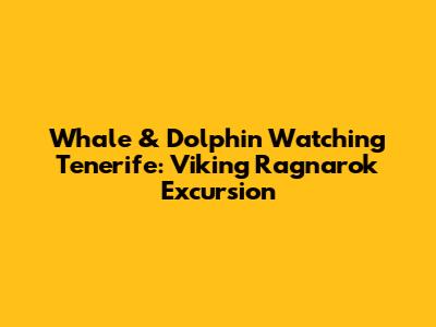 Whale & Dolphin Watching Tenerife: Viking Ragnarok Excursion