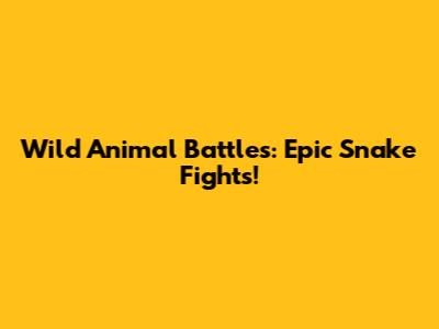 Wild Animal Battles: Epic Snake Fights!