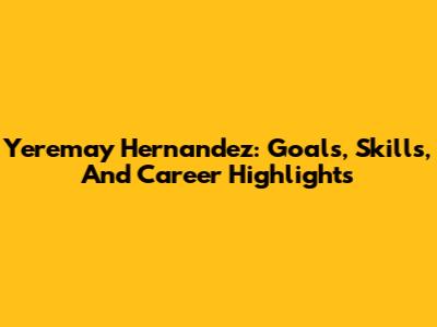 Yeremay Hernandez: Goals, Skills, And Career Highlights