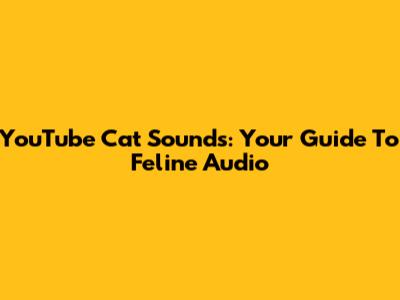 YouTube Cat Sounds: Your Guide To Feline Audio