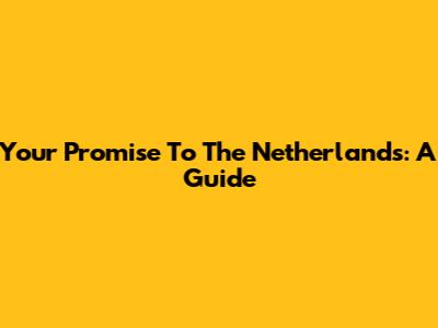 Your Promise To The Netherlands: A Guide