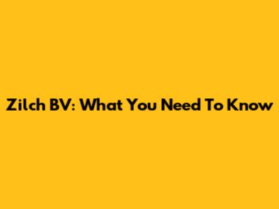Zilch BV: What You Need To Know