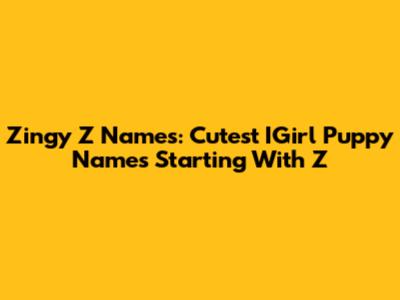 Zingy Z Names: Cutest IGirl Puppy Names Starting With 'Z'
